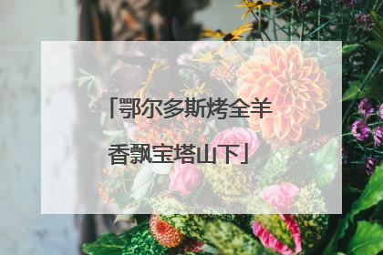 鄂尔多斯烤全羊香飘宝塔山下