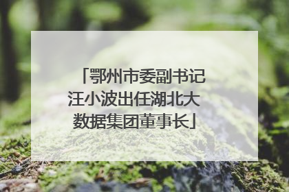 鄂州市委副书记汪小波出任湖北大数据集团董事长