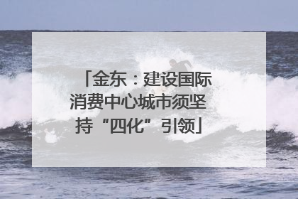 金东：建设国际消费中心城市须坚持“四化”引领