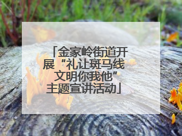 金家岭街道开展“礼让斑马线 文明你我他”主题宣讲活动