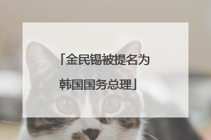 金民锡被提名为韩国国务总理