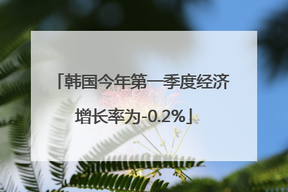 韩国今年第一季度经济增长率为-0.2%
