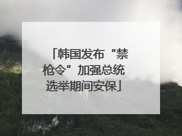 韩国发布“禁枪令”加强总统选举期间安保