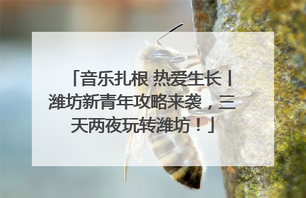 音乐扎根 热爱生长丨潍坊新青年攻略来袭，三天两夜玩转潍坊！
