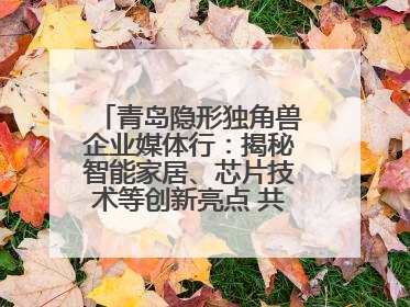 青岛隐形独角兽企业媒体行：揭秘智能家居、芯片技术等创新亮点 共绘科技新篇章