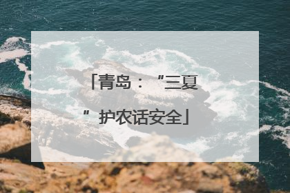 青岛：“三夏”护农话安全