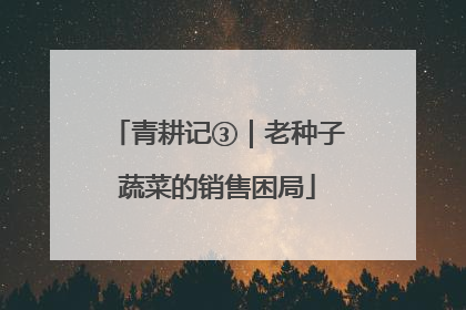 青耕记③｜老种子蔬菜的销售困局