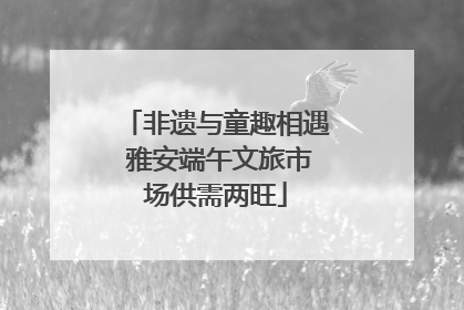 非遗与童趣相遇 雅安端午文旅市场供需两旺
