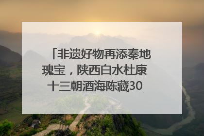 非遗好物再添秦地瑰宝，陕西白水杜康十三朝酒海陈藏30年别具一格