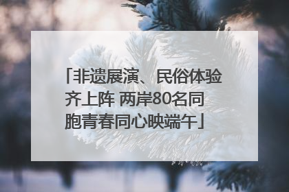 非遗展演、民俗体验齐上阵 两岸80名同胞青春同心映端午