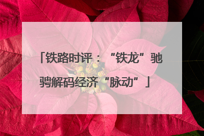 铁路时评：“铁龙”驰骋解码经济“脉动”