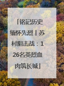 铭记历史 缅怀先烈丨苏村阻击战：126名英烈血肉筑长城