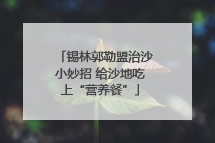 锡林郭勒盟治沙小妙招 给沙地吃上“营养餐”