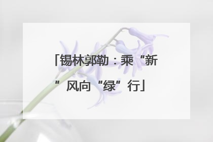 锡林郭勒：乘“新”风向“绿”行