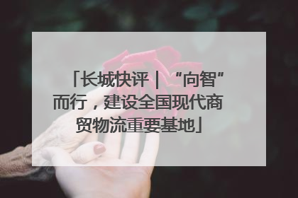 长城快评｜“向智”而行，建设全国现代商贸物流重要基地