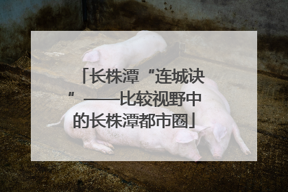 长株潭“连城诀”——比较视野中的长株潭都市圈