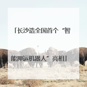 长沙造全国首个“智能押运机器人”亮相