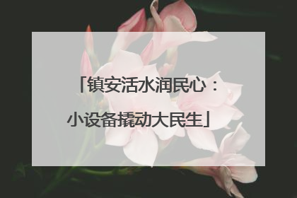 镇安活水润民心：小设备撬动大民生