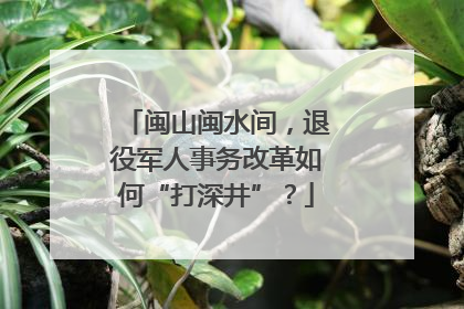 闽山闽水间，退役军人事务改革如何“打深井”？
