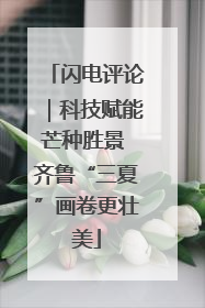 闪电评论｜科技赋能芒种胜景 齐鲁“三夏”画卷更壮美