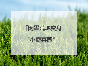 闲置荒地变身“小鹿菜园”