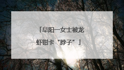 阜阳一女士被龙虾钳卡“脖子”