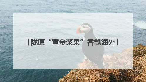 陇原“黄金浆果”香飘海外