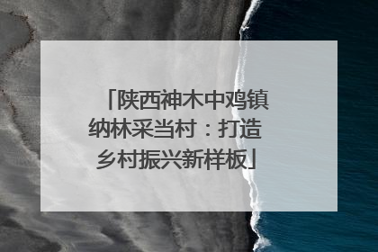 陕西神木中鸡镇纳林采当村：打造乡村振兴新样板