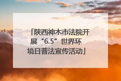 陕西神木市法院开展“6.5”世界环境日普法宣传活动