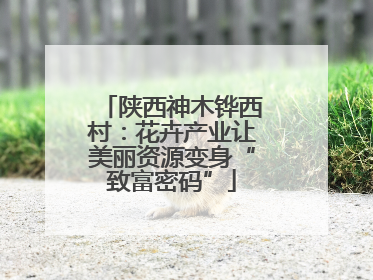 陕西神木铧西村：花卉产业让美丽资源变身“致富密码”