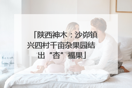 陕西神木：沙峁镇兴四村千亩杂果园结出“杏”福果