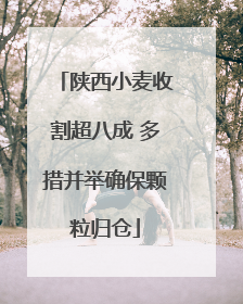 陕西小麦收割超八成 多措并举确保颗粒归仓