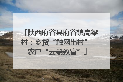 陕西府谷县府谷镇高梁村：乡货“触网出村” 农户“云端致富”