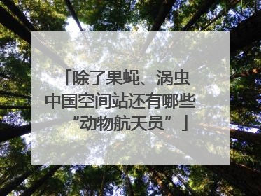 除了果蝇、涡虫 中国空间站还有哪些“动物航天员”