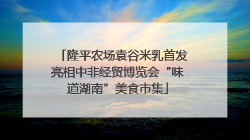 隆平农场袁谷米乳首发亮相中非经贸博览会“味道湖南”美食市集