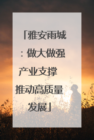 雅安雨城：做大做强产业支撑 推动高质量发展