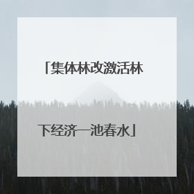 集体林改激活林下经济一池春水