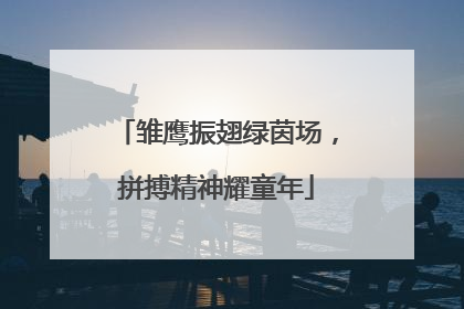 雏鹰振翅绿茵场，拼搏精神耀童年