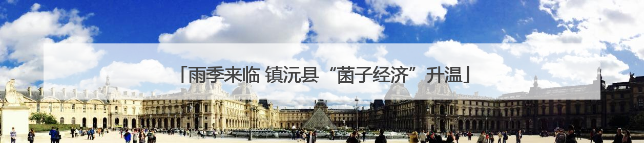 雨季来临 镇沅县“菌子经济”升温