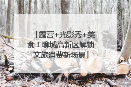 露营+光影秀+美食！聊城高新区解锁文旅消费新场景