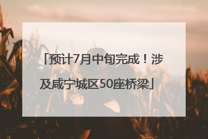 预计7月中旬完成！涉及咸宁城区50座桥梁
