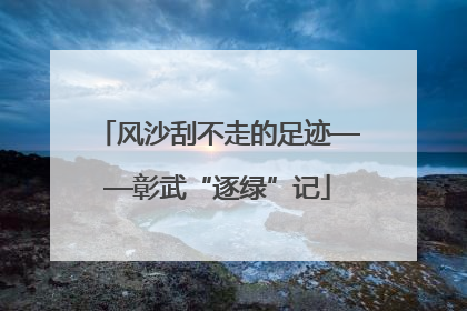 风沙刮不走的足迹——彰武“逐绿”记