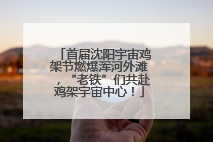首届沈阳宇宙鸡架节燃爆浑河外滩，“老铁”们共赴鸡架宇宙中心！