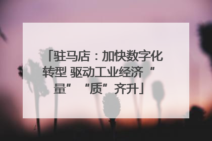 驻马店：加快数字化转型 驱动工业经济“量”“质”齐升