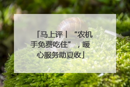 马上评丨“农机手免费吃住”，暖心服务助夏收