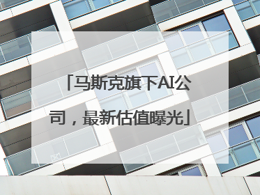 马斯克旗下AI公司，最新估值曝光