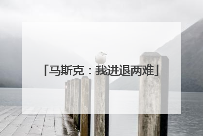 马斯克：我进退两难