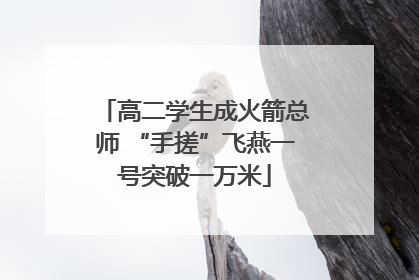 高二学生成火箭总师 “手搓”飞燕一号突破一万米