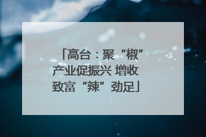 高台：聚“椒”产业促振兴 增收致富“辣”劲足