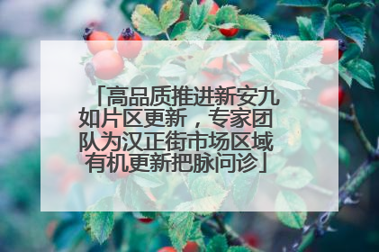 高品质推进新安九如片区更新，专家团队为汉正街市场区域有机更新把脉问诊